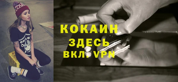 сатива Осинники