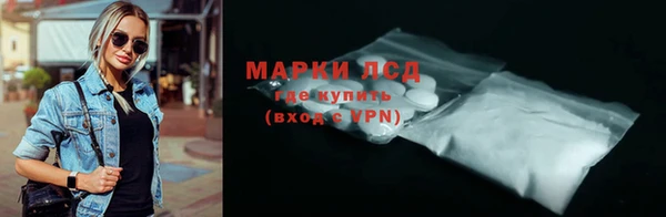 сатива Осинники