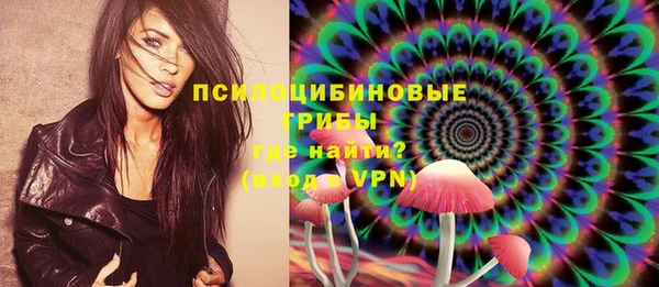 сатива Осинники