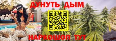 гидра Заводоуковск