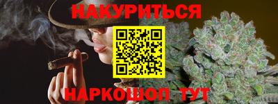 гидра Заводоуковск