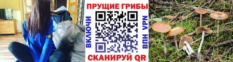 купить наркотик Кумертау KRAKEN ССЫЛКА Галлюциногенные грибы Psilocybe