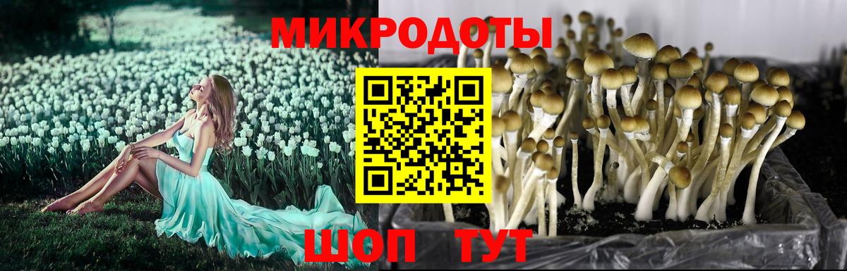 Псилоцибиновые грибы MAGIC MUSHROOMS  Вход с VPN  Псилоцибиновые грибы мицелий  Кумертау 